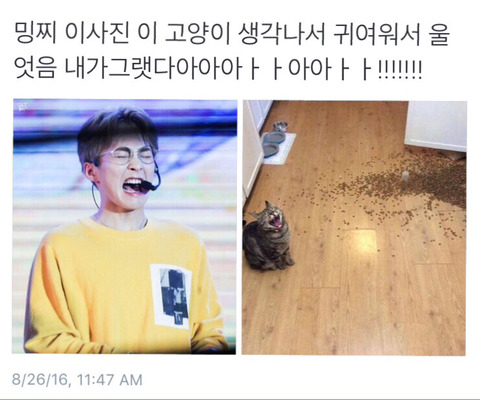 엘드라곤 이미지