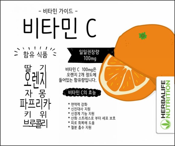 레벨업점핑다이어트 이미지
