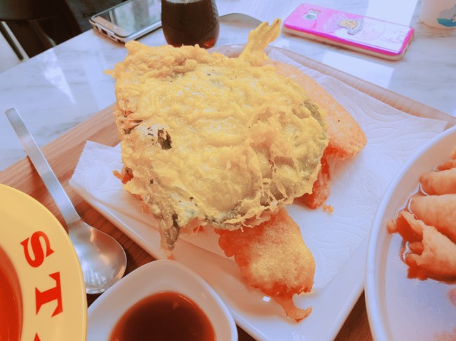 뽀끼스타 이미지