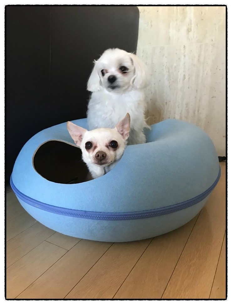 슬로우하우스 이미지