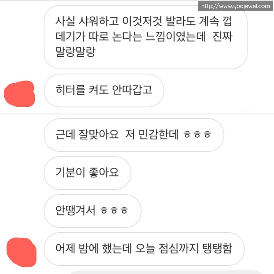 팜스테라 이미지
