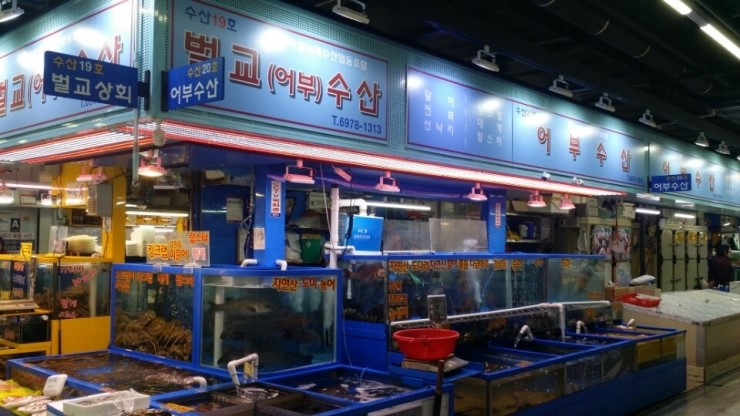 어부수산 이미지