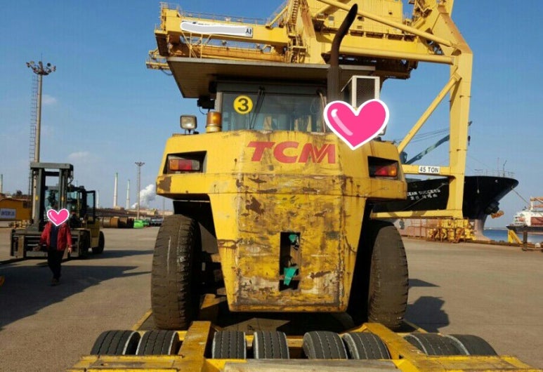 티시엠 이미지