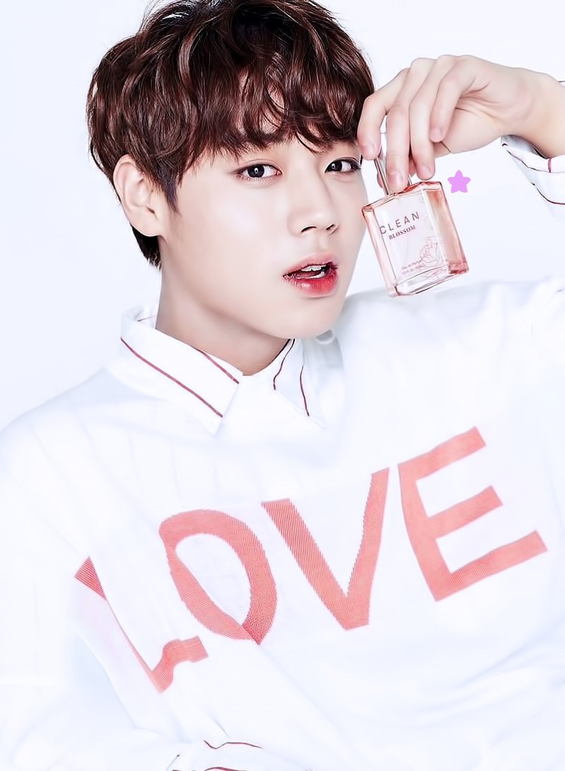 워너클린 이미지