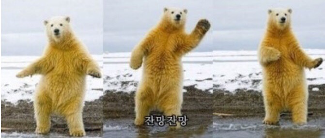 쿠카페 이미지