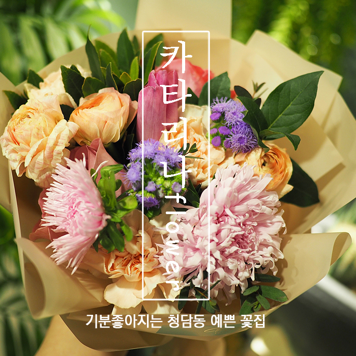 카타리나플라워 이미지