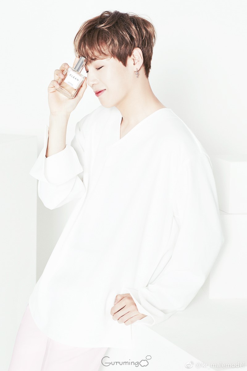 워너클린 이미지