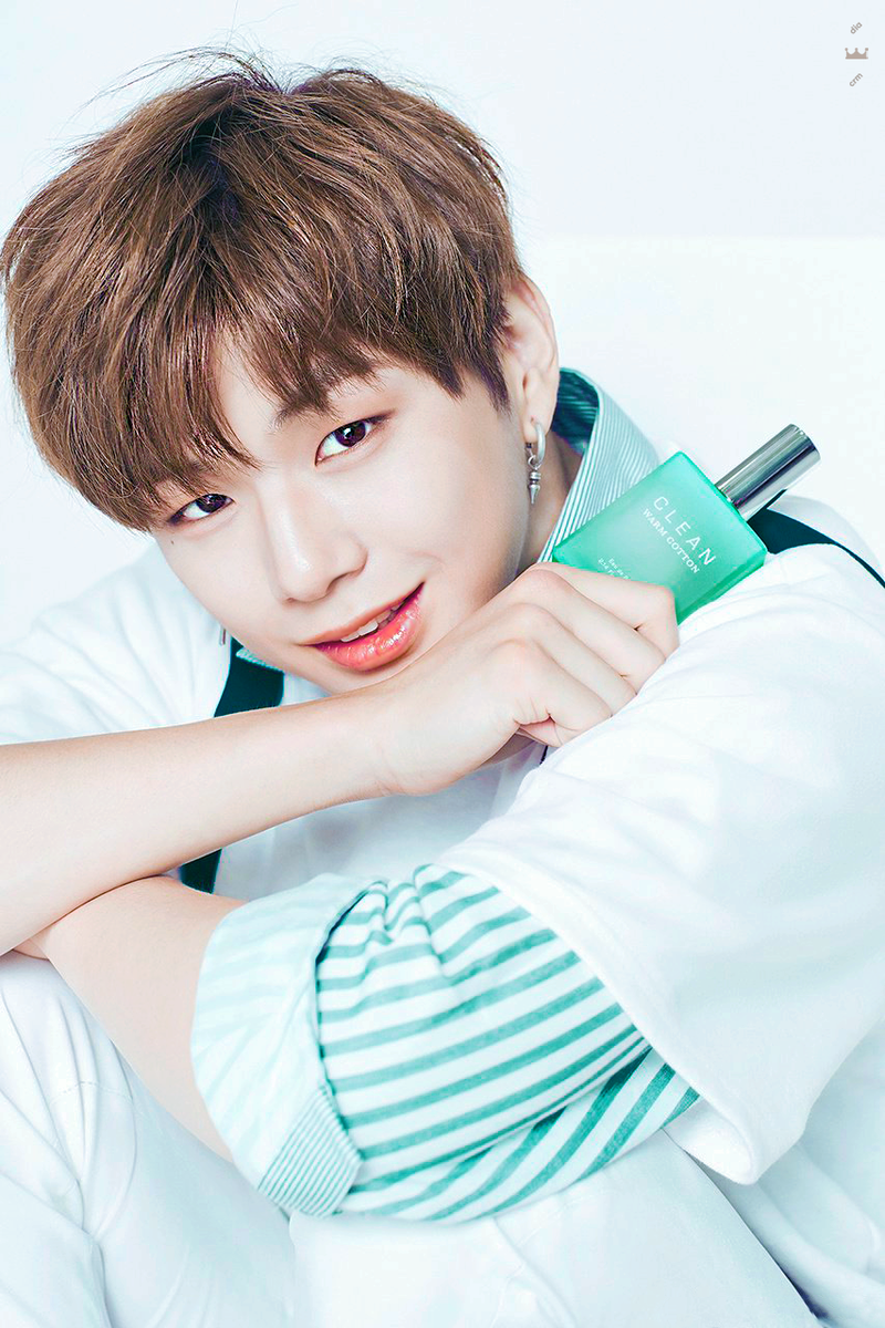워너클린 이미지