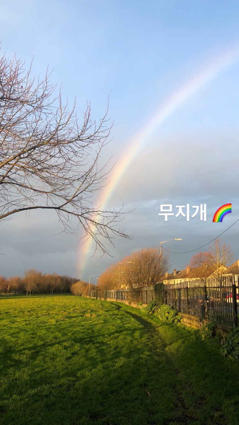 피닉스홀리데이 이미지