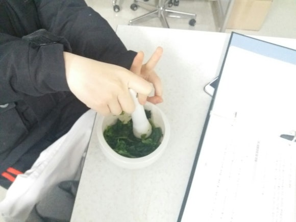 조선대학여자고등학교 이미지