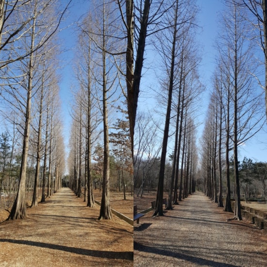 원광대학교자연식물원 이미지