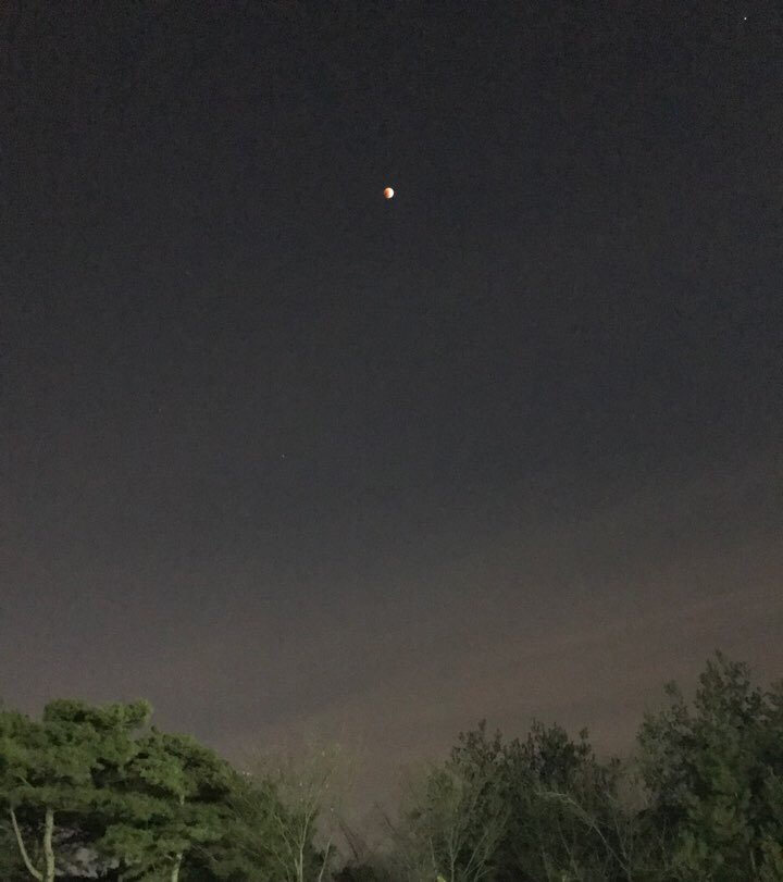 로스트엠 이미지