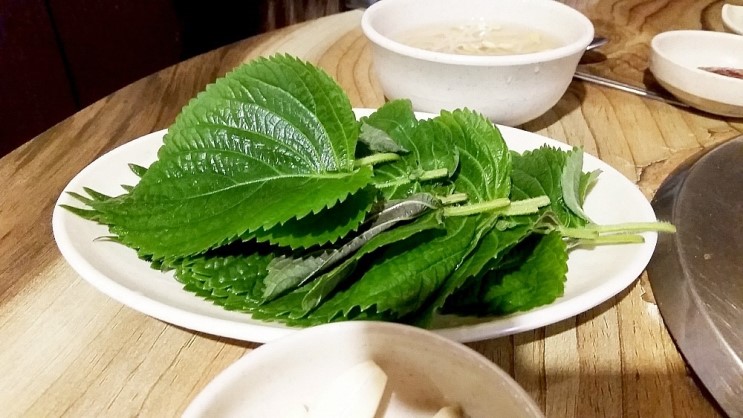 땡초꼼장어 이미지