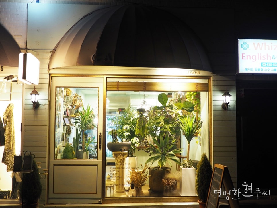 카타리나플라워 이미지