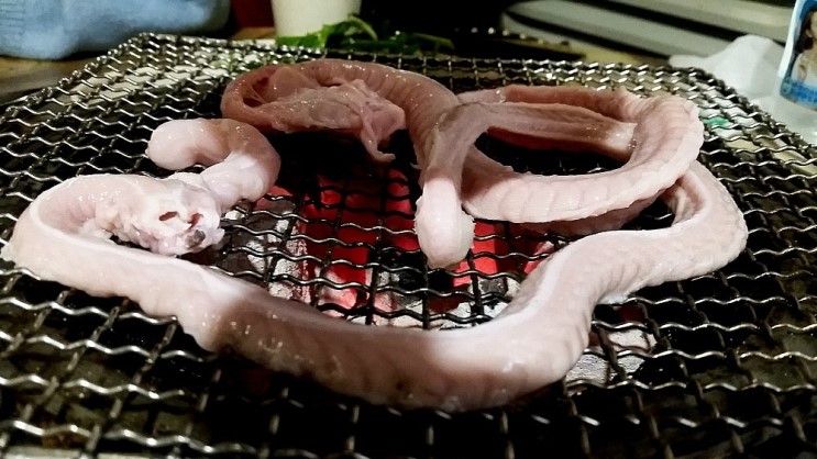땡초꼼장어 이미지