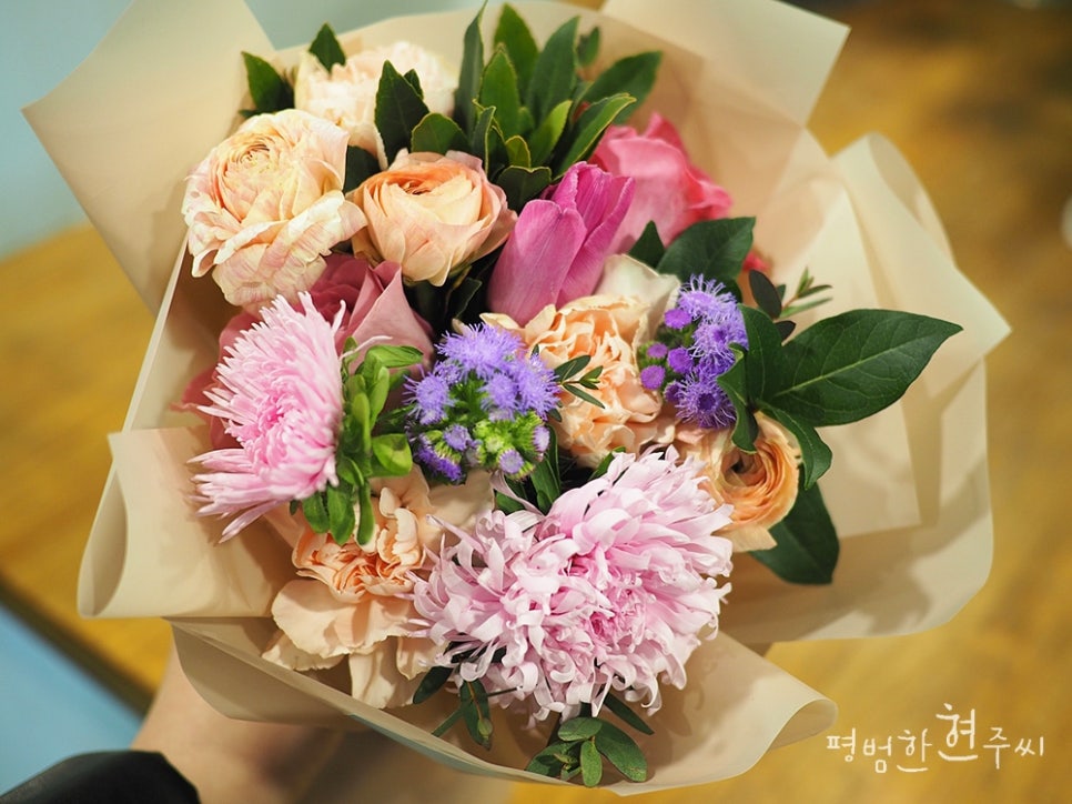카타리나플라워 이미지