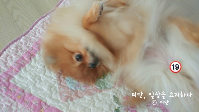 포미병과 이미지