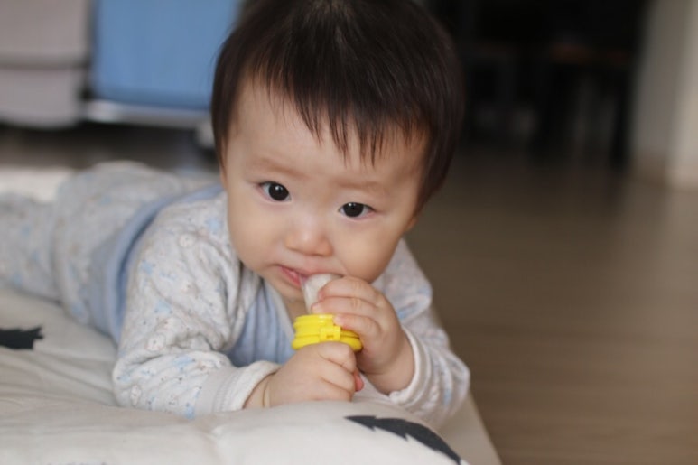 초록마을 바나나나무 이미지