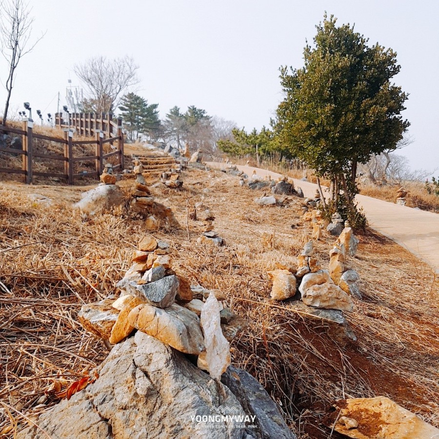 대창수산 이미지
