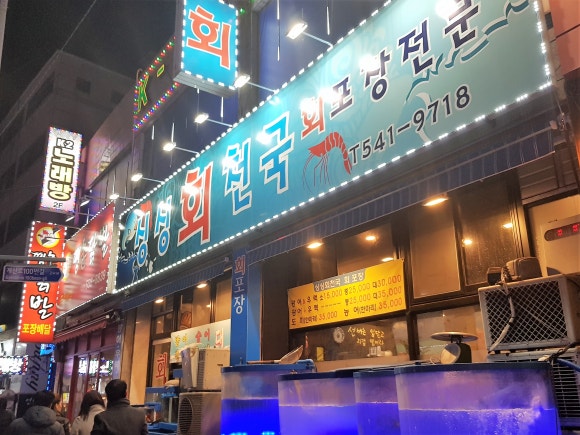 싱싱회천국 이미지