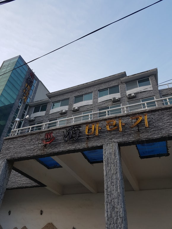 어달해바라기 이미지