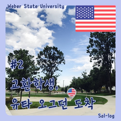 위버 (WEBER) 이미지