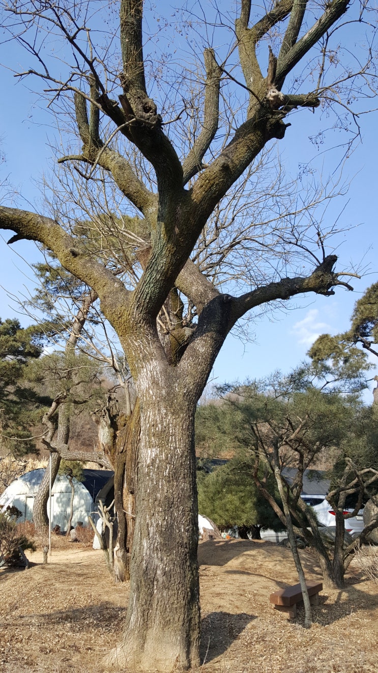 송*하 이미지