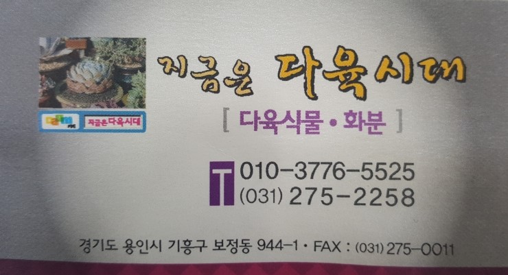 지금은다육시대 이미지