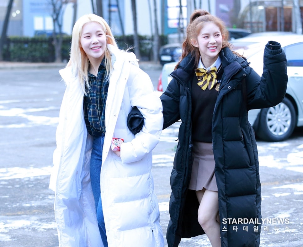 데이지 뮤직 이미지