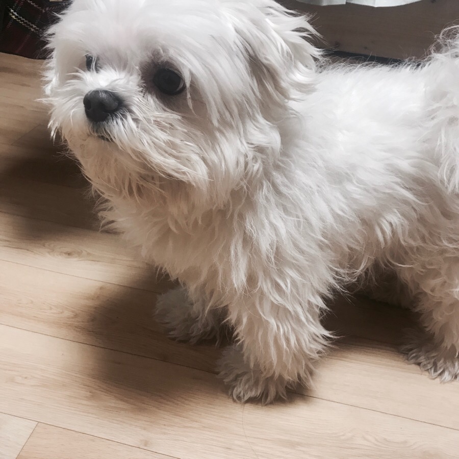 중흥피아노학원 이미지