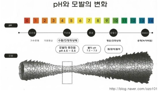 엣지헤어 이미지