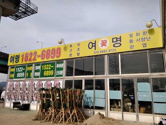 여명꽃집 이미지
