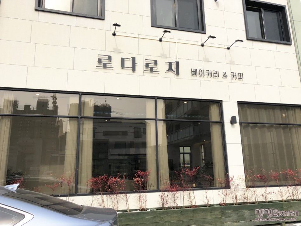 로다로지 이미지