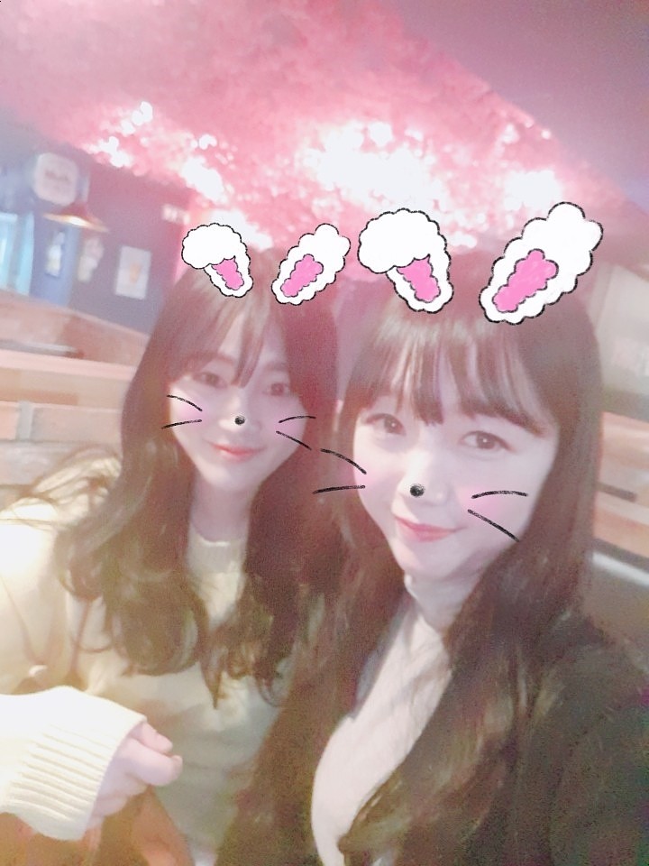 벚꽃포장마차 이미지
