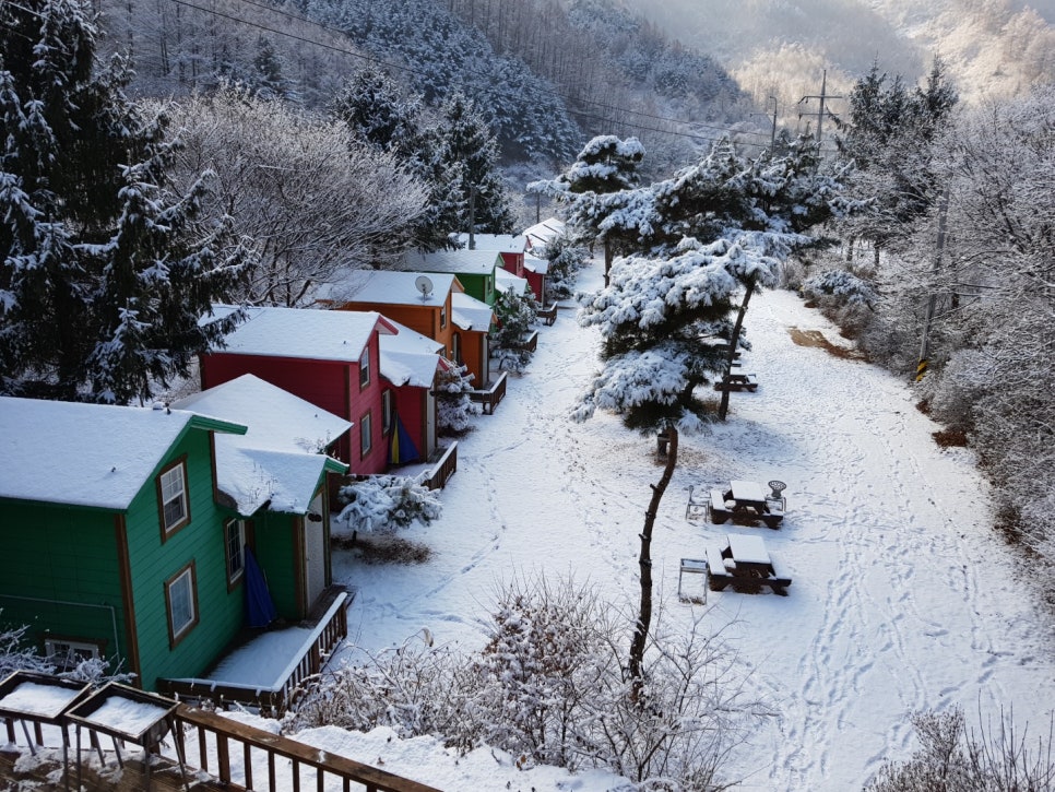 소나무펜션 이미지