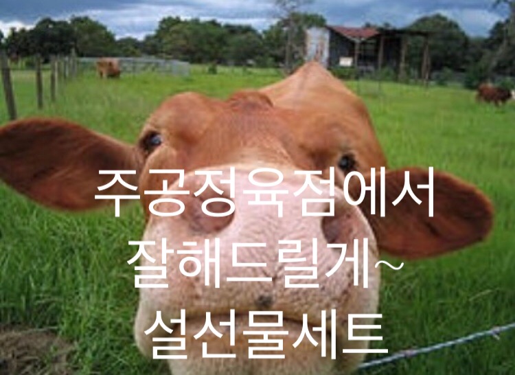 주공정육점 이미지