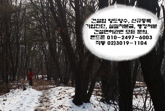 건설면허114 이미지