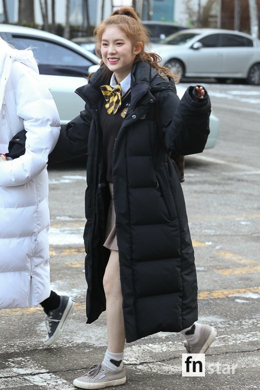 데이지 뮤직 이미지