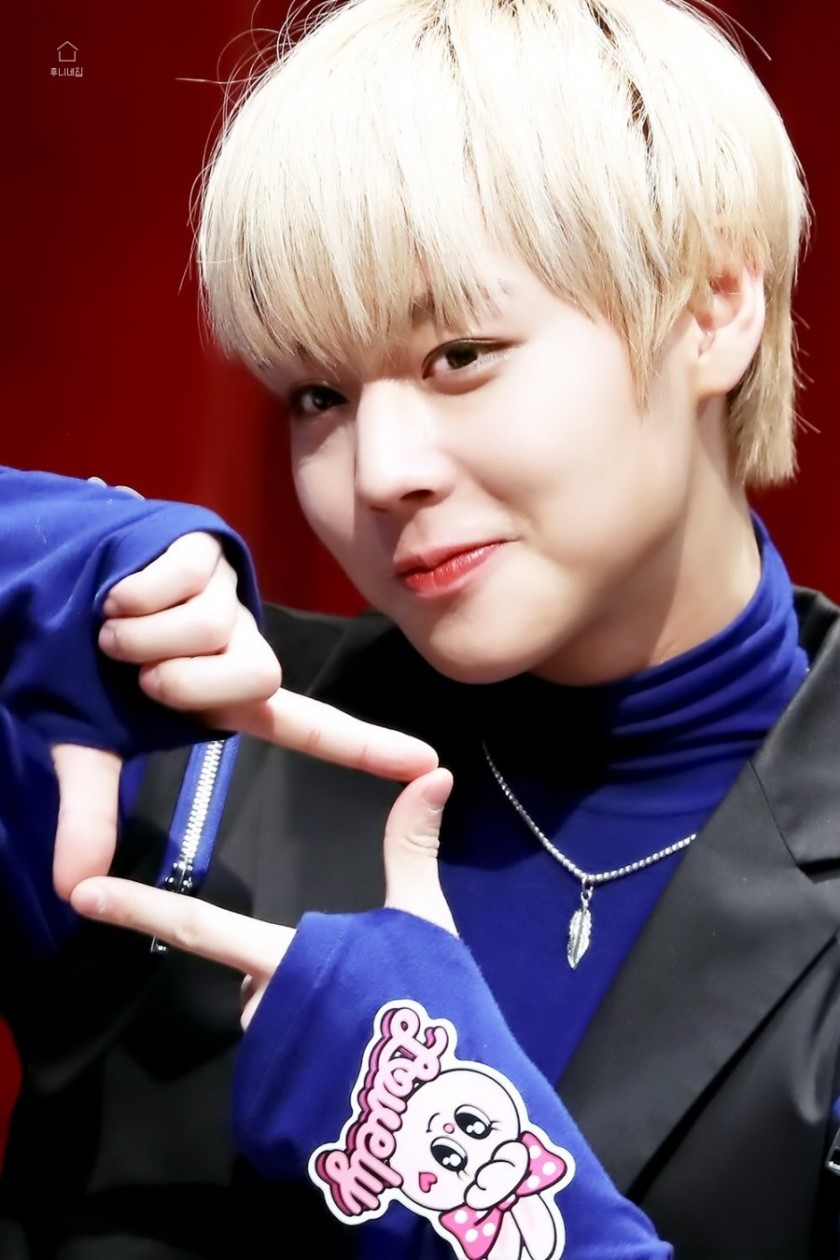 폰데코 이미지