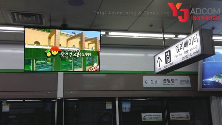 와이제이푸드(YJ푸드) 이미지