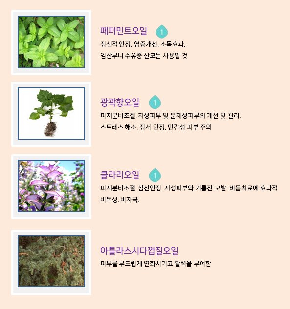 줄리스 이미지