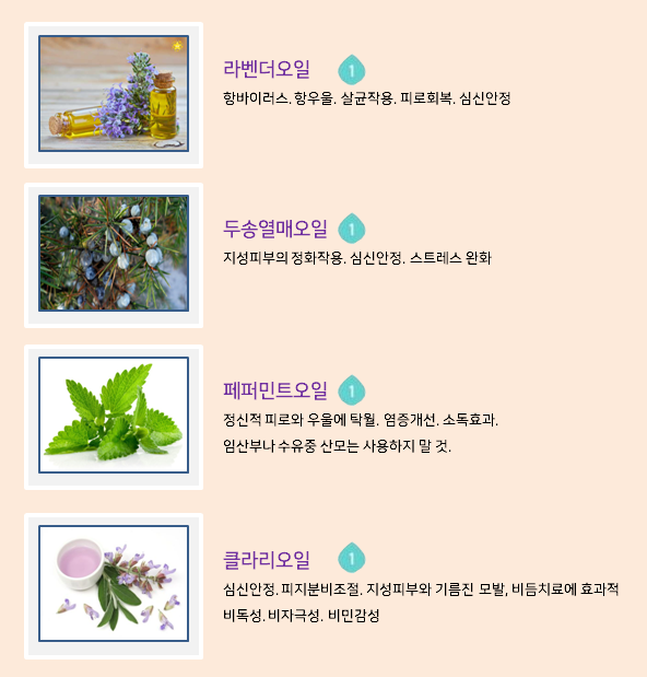 줄리스 이미지