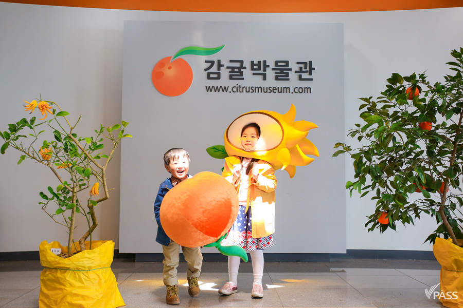 가볼만한족욕카페 이미지