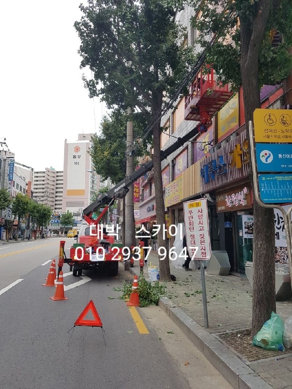 서울스카이차 이미지