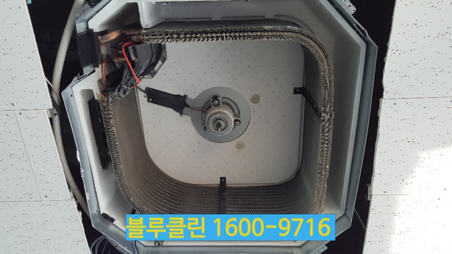 블루클린 이미지