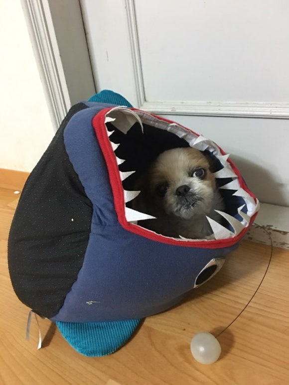 몬니 이미지