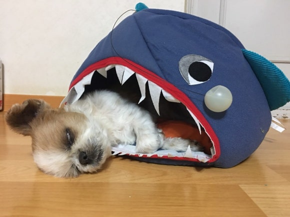 몬니 이미지