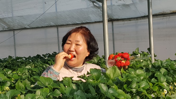 모아베리교육농장 이미지