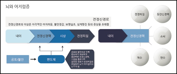진성한의원 이미지
