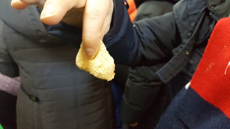 개미들솔향기야영장 이미지
